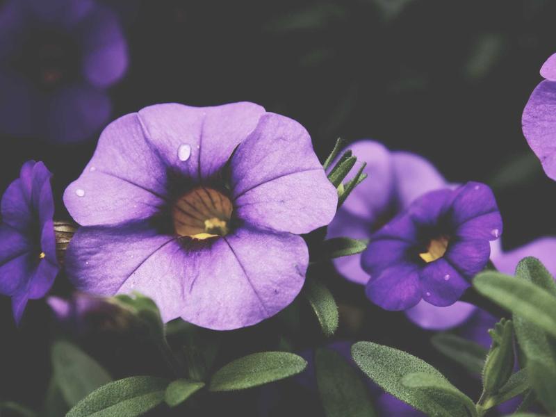 sudoku education game