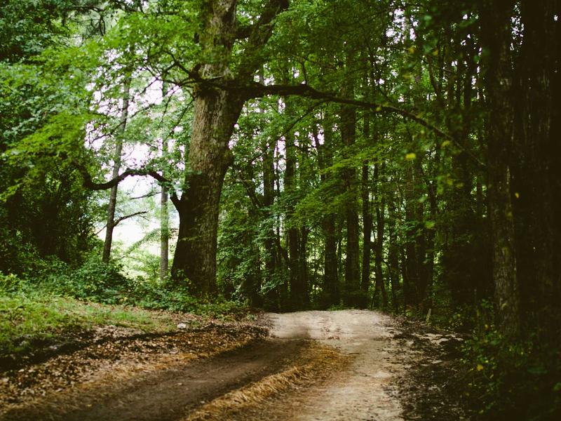 sudoku full version screenshot 4